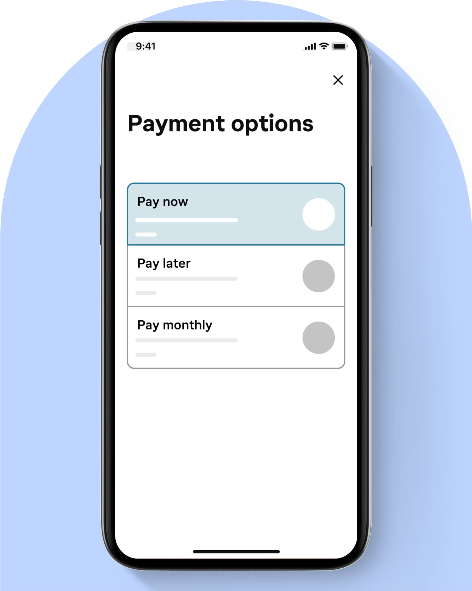 Klarna app payment options
