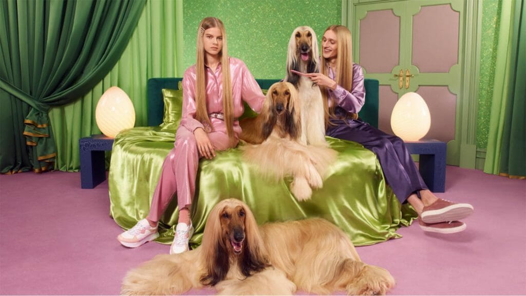 Two girls sitting on a bed with three afghan dogs.