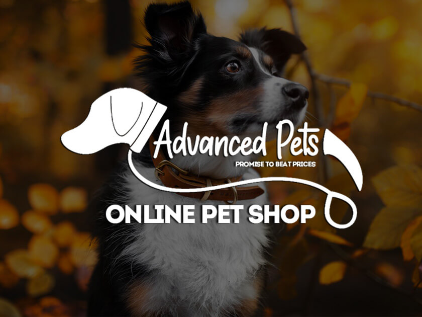 ᐅ Pet supplies from the biggest brands – Klarna UK