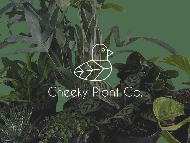 Cheeky Plant Co.