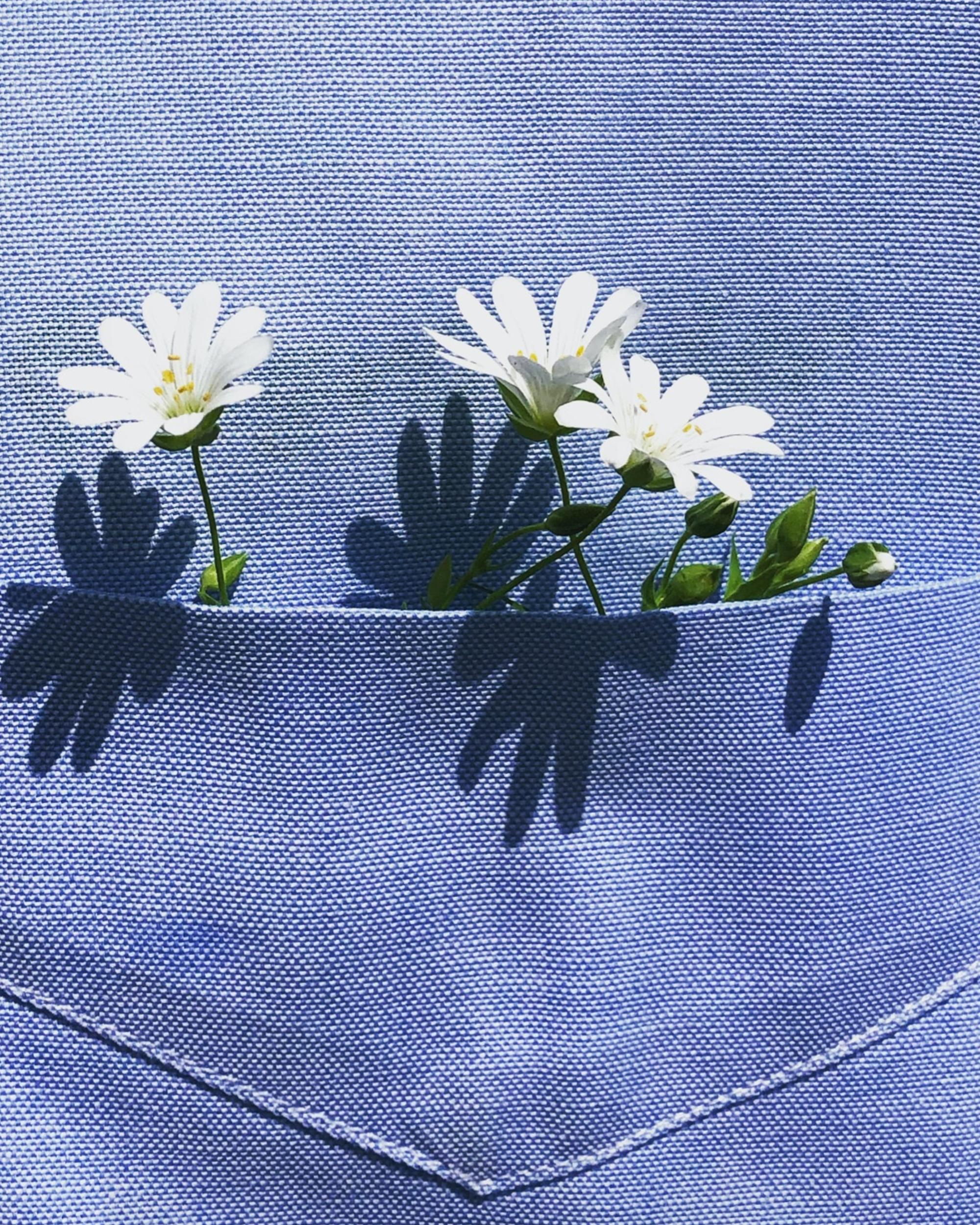 Flowers in pocket
