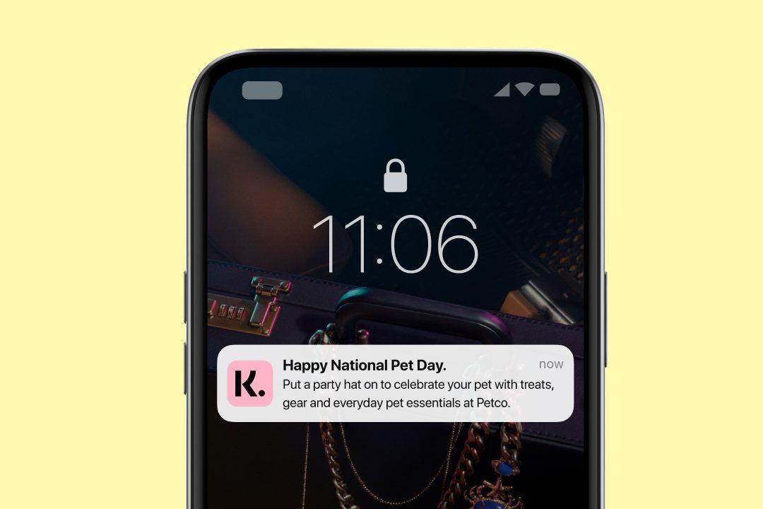 Push notification from a CRM campaign in the Klarna app
