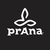 Prana Logotype