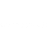 Whitespace Logotype