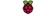 Raspberry Pi Logotype