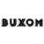 Buxom Logotype