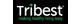 Tribest Logotype