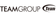 TeamGroup Logotype