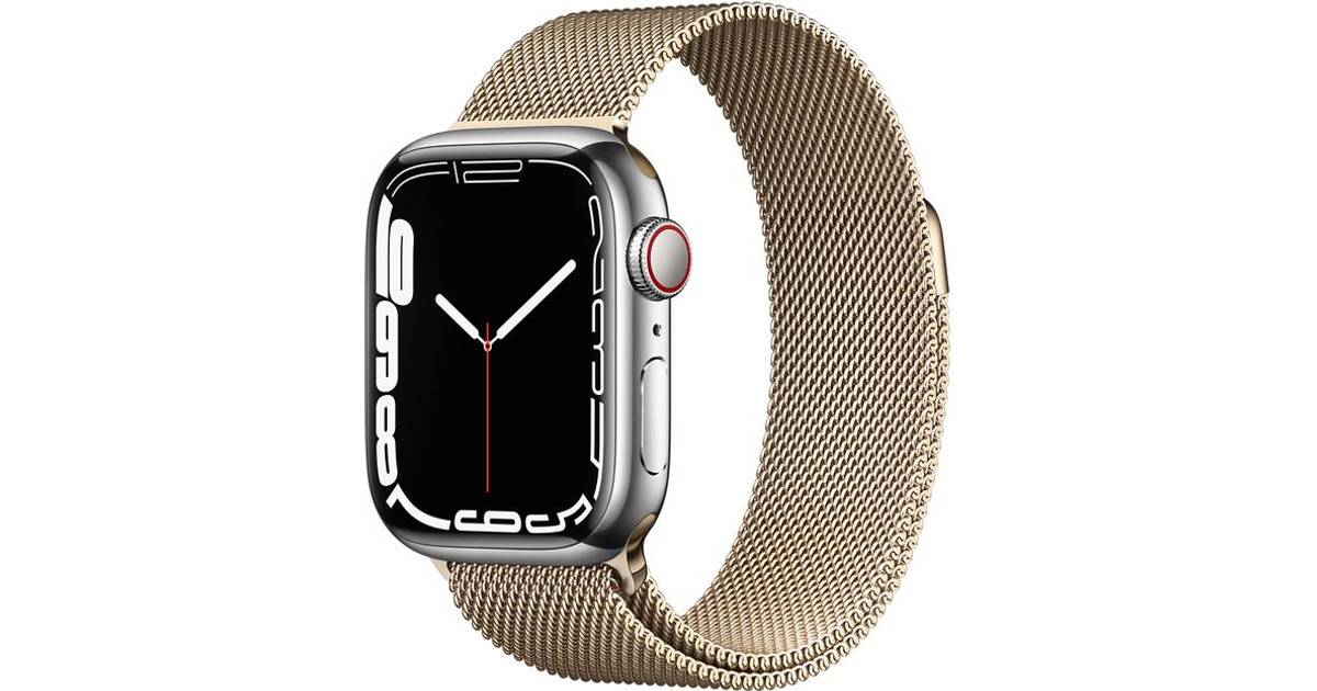 Apple Watch Series 7 Cellular 45mm Stainless Steel Case with