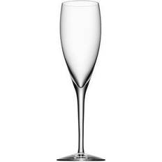 Orrefors more Orrefors More Champagneglass 18cl 2st
