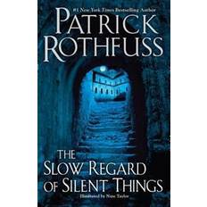 The Slow Regard of Silent Things (Paperback, 2015)