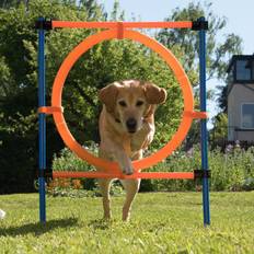 Zooplus Hunde - Hundefutter Haustiere Zooplus Agility Fun & Sport Spring - Ring - Complete Set Ringca