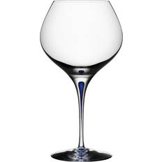 Røde Vinglass Orrefors Intermezzo Blue Bouquet Hvitvinsglass, Rødvingsglass 70cl