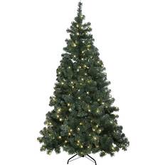 Star Trading Weihnachtsbäume Star Trading Ottawa Weihnachtsbaum 210cm