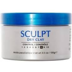Lanza Stylingprodukte Lanza Healing Style Sculpt Dry Clay 100g