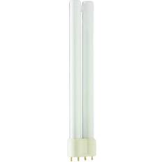 Philips Master Fluorescent Lamps 24W 2G11