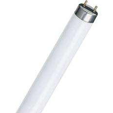 Philips Master TL-D 90 De Luxe Fluorescent Lamp 36W G13 950