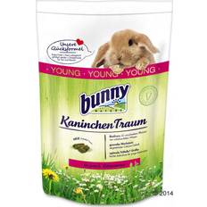 Bunny Young Rabbit - Dream