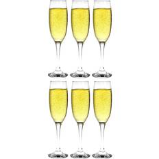 Argon - Champagne Glass 7.439fl oz 6
