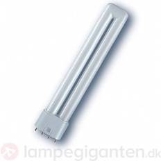 Tageslicht Leuchtstoffröhren Osram Dulux L Fluorescent Lamps 55W 2G11 954