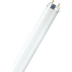 Osram Lumilux T8 Fluorescent Lamp 30W G13 880