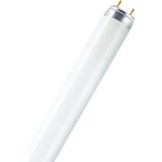 Billig Lysstoffrør Osram T8 Fluorescent Lamp 18W G13