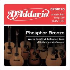 Strings D'Addario EPBB170