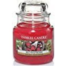 Yankee Candle Raspberry Small Duftkerzen 104g