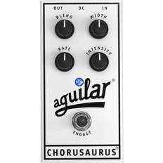 Aguilar Chorusaurus