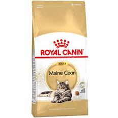 Royal canin maine coon Royal Canin Maine Coon Adult 2x10kg
