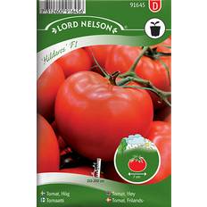 Nelson Garden Tomato High Hildares F1 6 pack