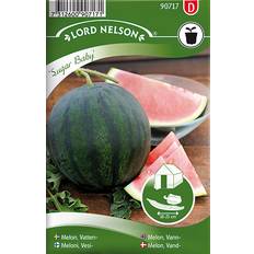 Frukt- & Bærfrø Nelson Garden Watermelon Seed 36 pack
