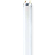 Tageslicht Leuchtstoffröhren Osram Color Proof T8 Fluorescent Lamp 36W G13