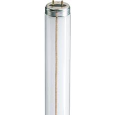 Philips TL-M RS Fluorescent Lamp 65W G13 640