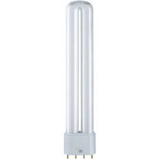 2G11 Lysstoffrør Osram Dulux L Fluorescent Lamp 36W 2G11 865