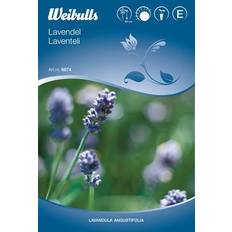 Planter Weibulls Lavender