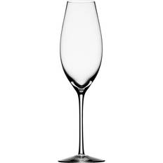 Orrefors Champagneglass Orrefors Difference Sparkling Champagneglass 32cl