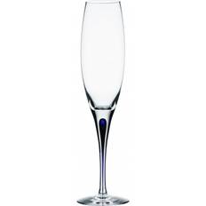 Blå Champagneglass Orrefors Intermezzo Champagneglass 26cl