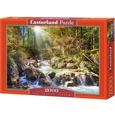 Castorland Classic Jigsaw Puzzles Castorland The Forest Stream 2000 Pieces
