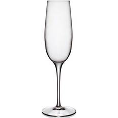 Luigi Bormioli Palace Champagne Glass 23.5cl 6pcs