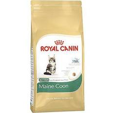 Royal canin kitten maine coon Royal Canin Maine Coon Kitten 0.4kg