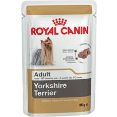 Royal Canin Haustiere Royal Canin Yorkshire Terrier Adult