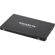Gigabyte SSDs Festplatten Gigabyte GP-GSTFS31256GTND 256GB