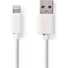 USB A - Lightning 3m