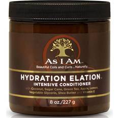 Asiam Haarpflegeprodukte Asiam Hydration Elation 227g