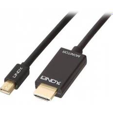 Lindy Passive HDMI-DisplayPort Mini 3m