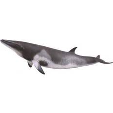 Hav Figurer Collecta Minke Whale 88862