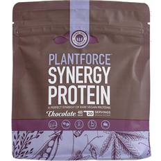 Sukkerfri Proteinpulver Third Wave Nutrition Plantforce Synergy Protein Chocolate 400g