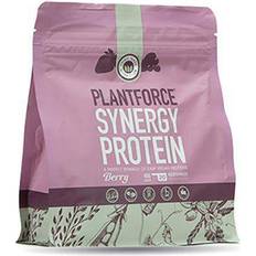 Hampproteiner Proteinpulver Third Wave Nutrition Synergy Protein - Berry 1 st