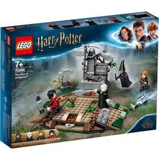 Harry potter 7 Lego Harry Potter the Rise of Voldemort 75965